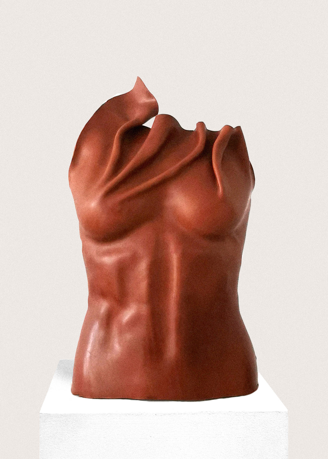 Sculpt me dear, terracotta torso