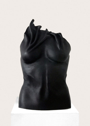 Sculpt me dear, black torso